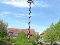 Maibaum 2008 036_hg